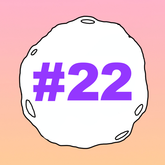 #22 - DYLAN LINDE - Rock Bottom & Being Angry