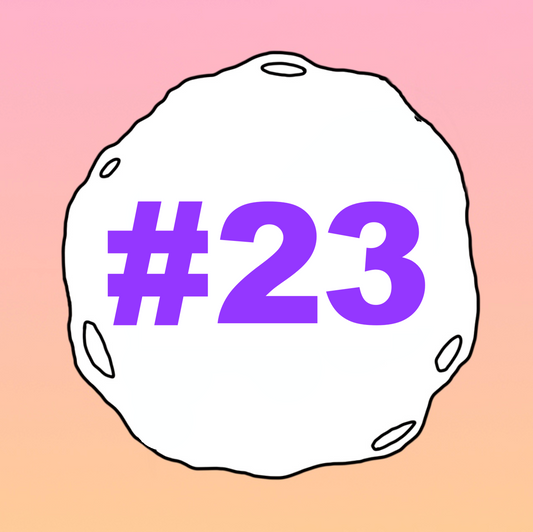 #23 - BRRRBON - Clay Art & Bitcoin